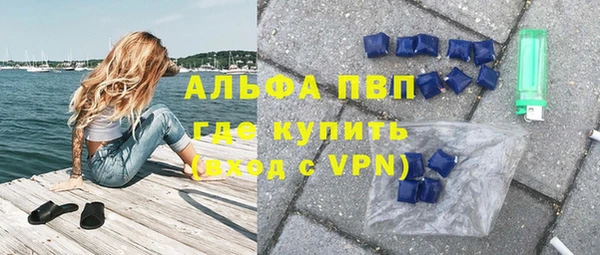 сатива Абаза