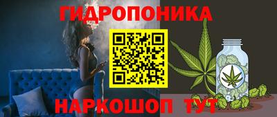 гашик Обнинск