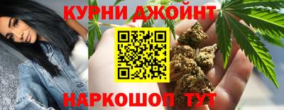 гашик Обнинск
