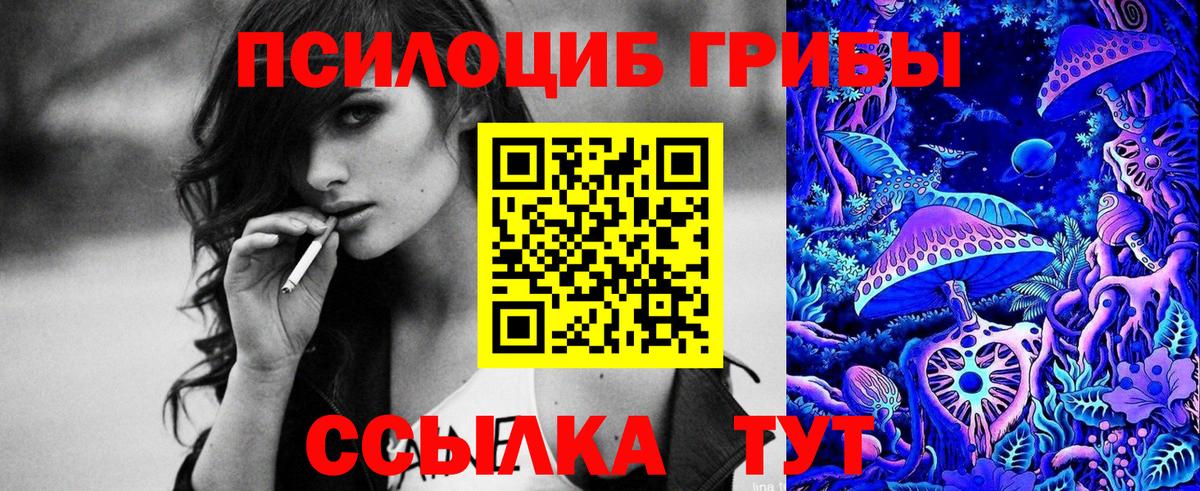 Псилоцибиновые грибы MAGIC MUSHROOMS  Вход с VPN  Сочи  Псилоцибиновые грибы мухоморы 