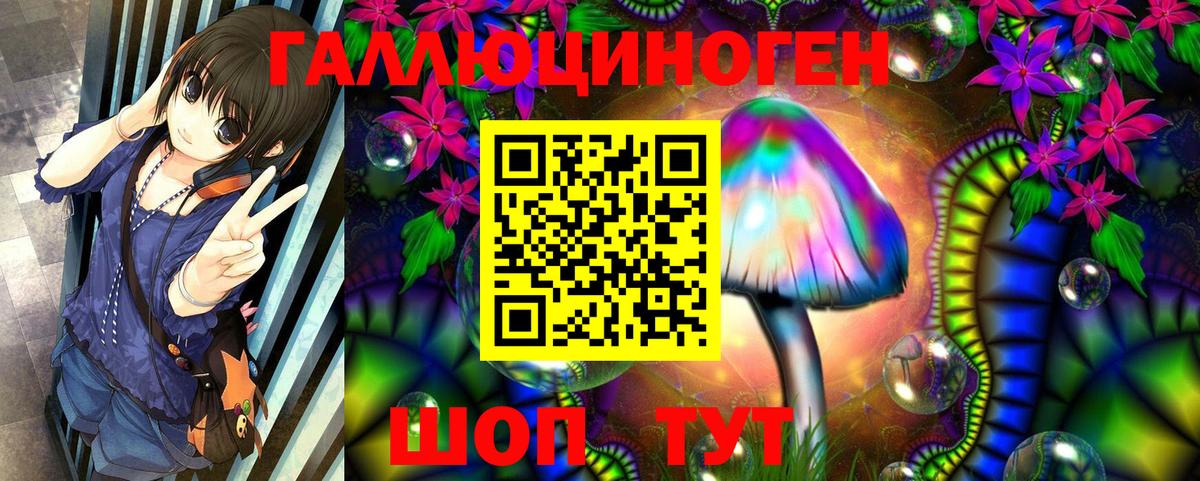 Галлюциногенные грибы мицелий Сочи