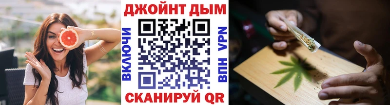 закладка  Сочи  Шишки марихуана сатива 